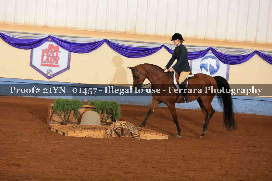 Proof 21YN_01457