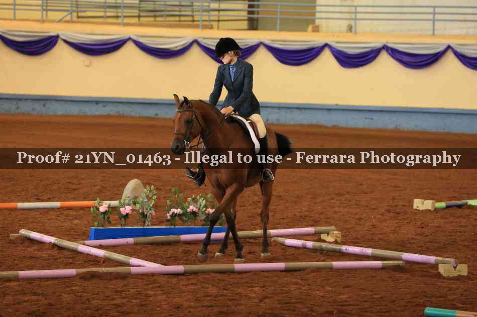 Proof 21YN_01463