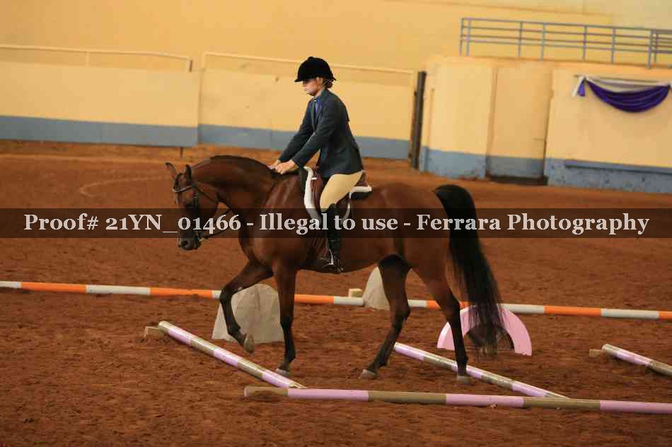 Proof 21YN_01466
