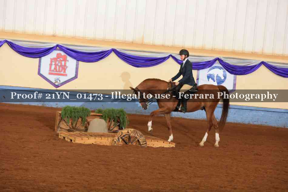 Proof 21YN_01473