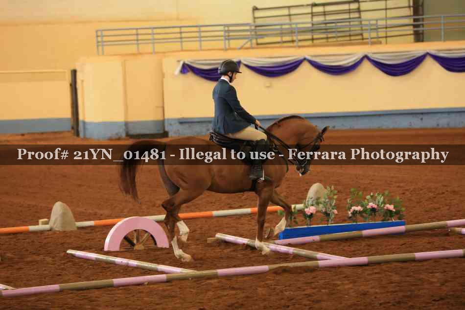 Proof 21YN_01481
