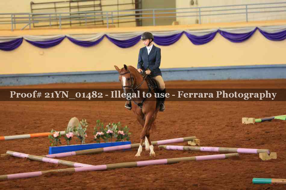 Proof 21YN_01482