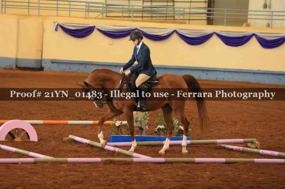 Proof 21YN_01483