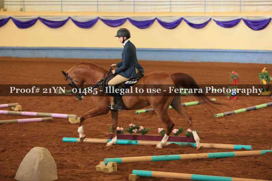 Proof 21YN_01485
