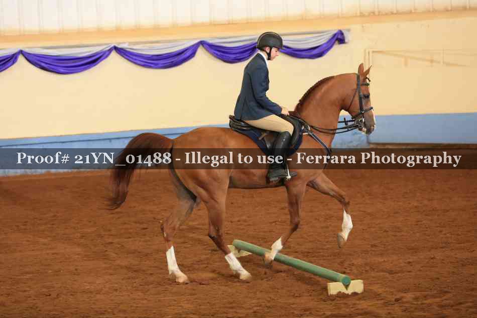 Proof 21YN_01488