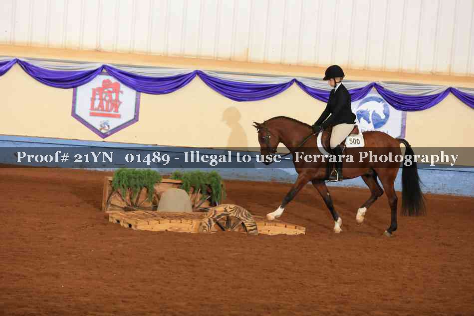 Proof 21YN_01489