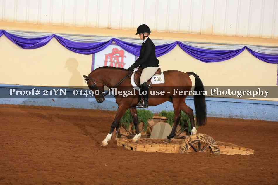 Proof 21YN_01490
