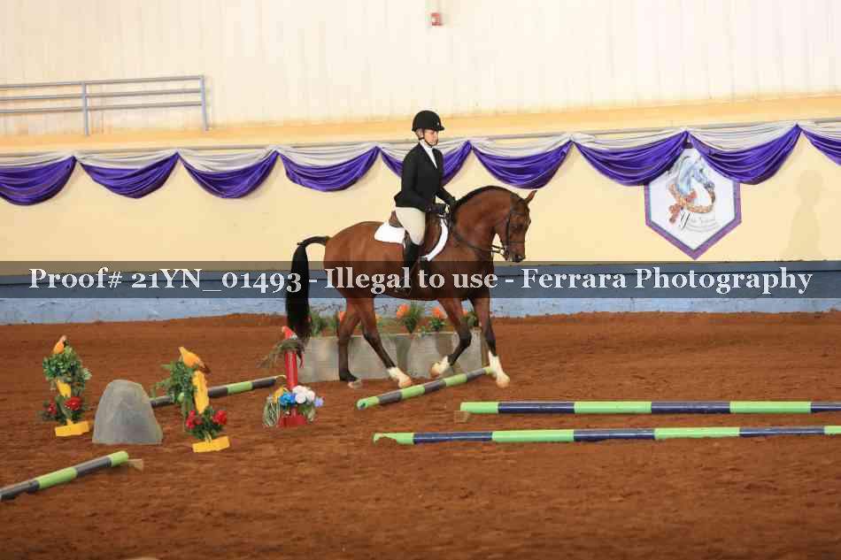 Proof 21YN_01493