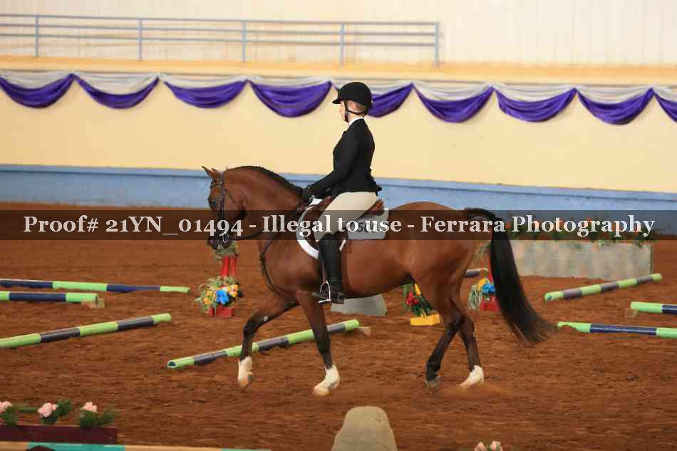 Proof 21YN_01494