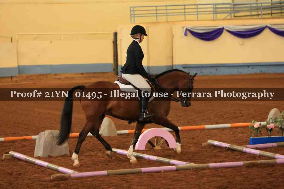 Proof 21YN_01495