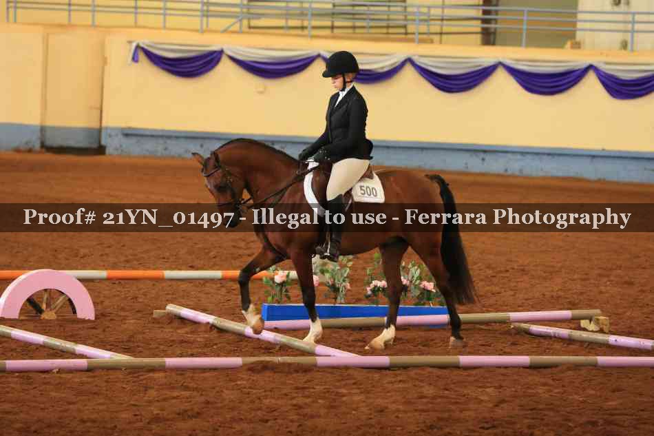 Proof 21YN_01497