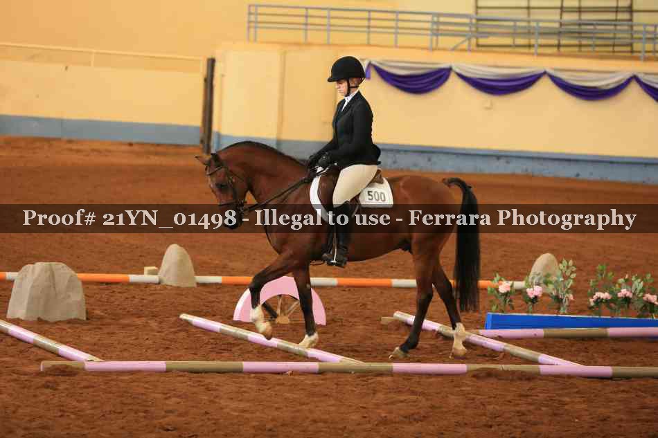 Proof 21YN_01498