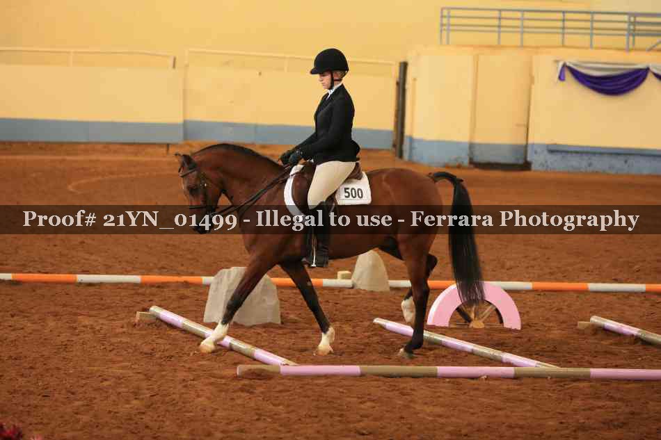 Proof 21YN_01499