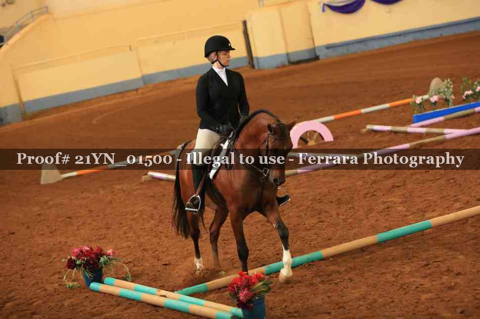 Proof 21YN_01500