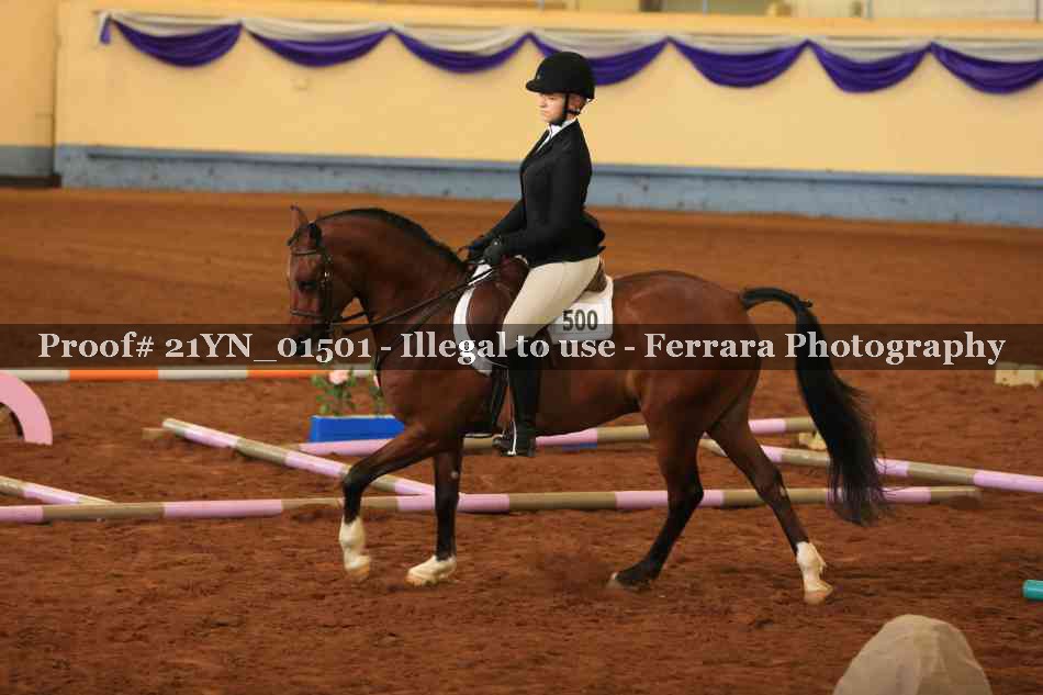 Proof 21YN_01501