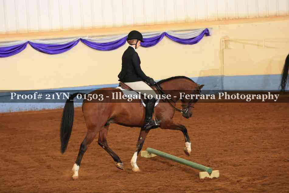 Proof 21YN_01503