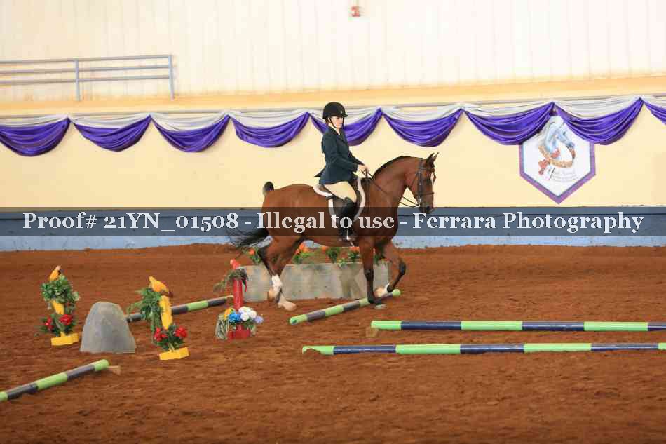 Proof 21YN_01508