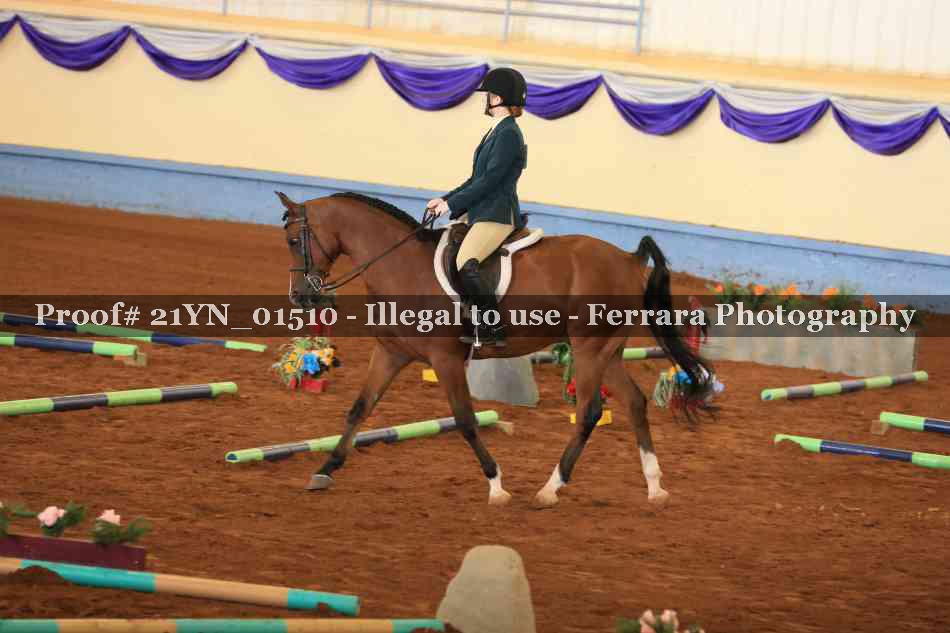 Proof 21YN_01510
