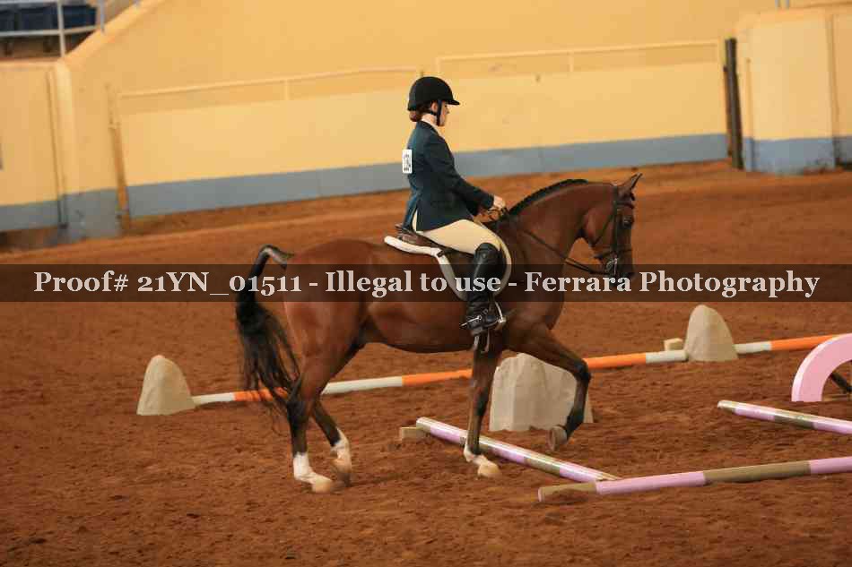 Proof 21YN_01511