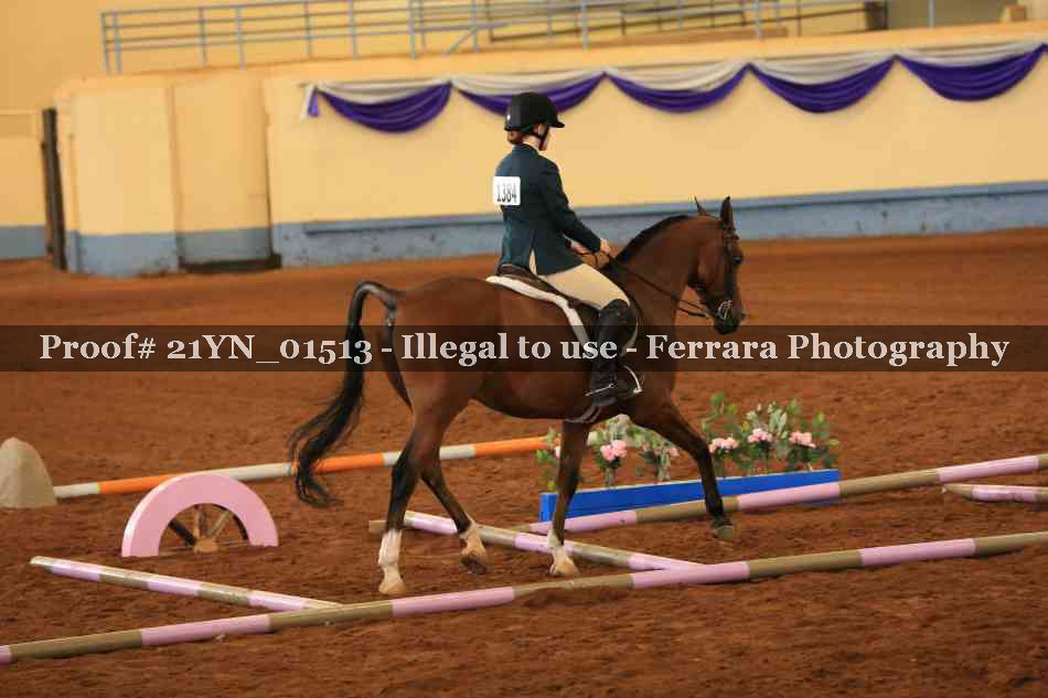 Proof 21YN_01513