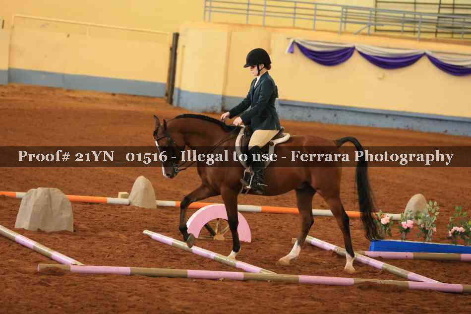 Proof 21YN_01516