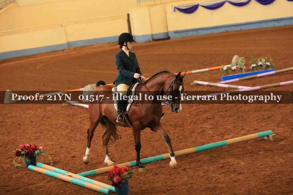 Proof 21YN_01517