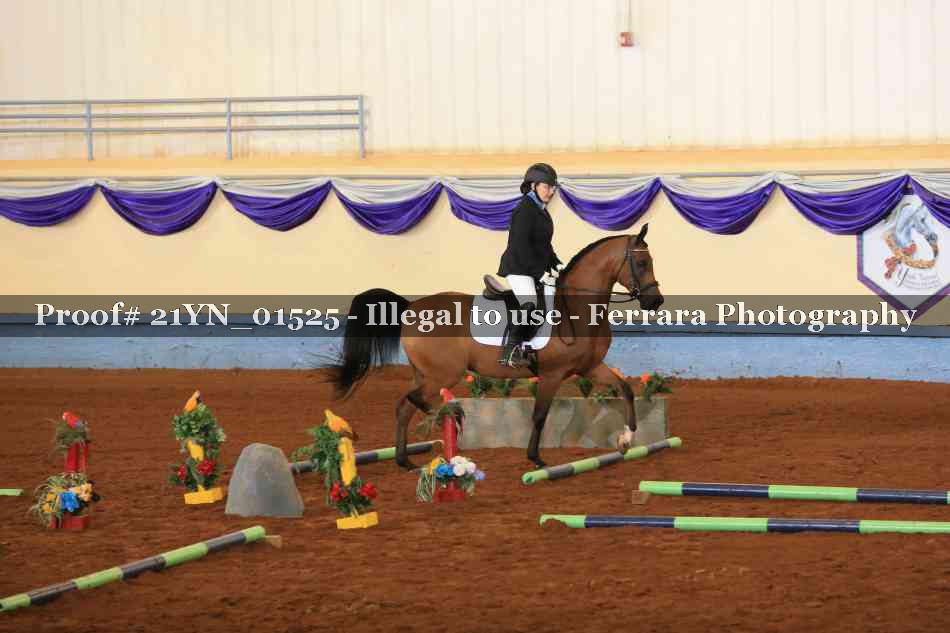 Proof 21YN_01525