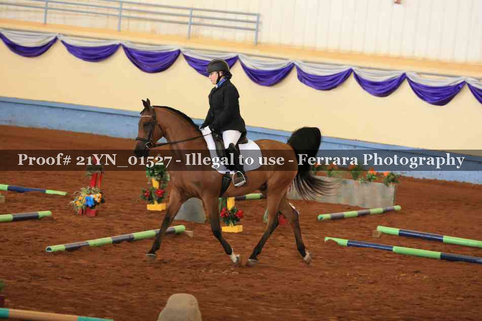 Proof 21YN_01527