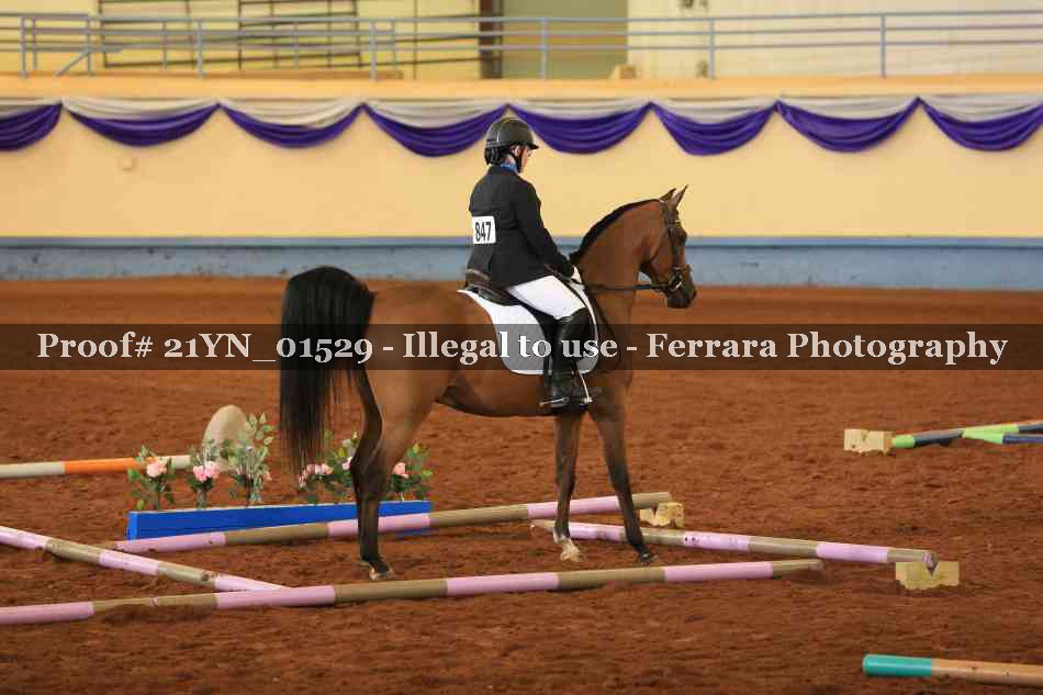 Proof 21YN_01529