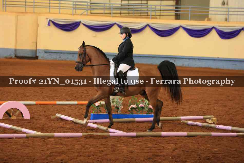 Proof 21YN_01531