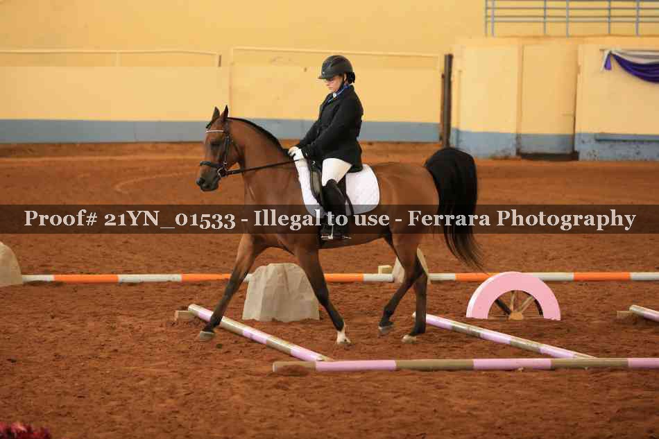 Proof 21YN_01533