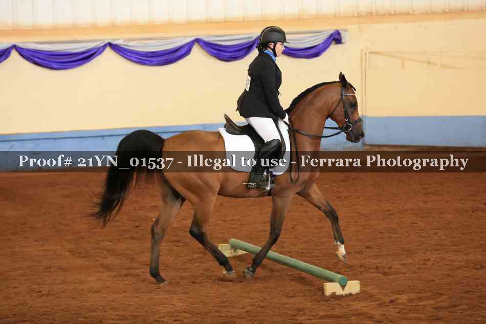 Proof 21YN_01537