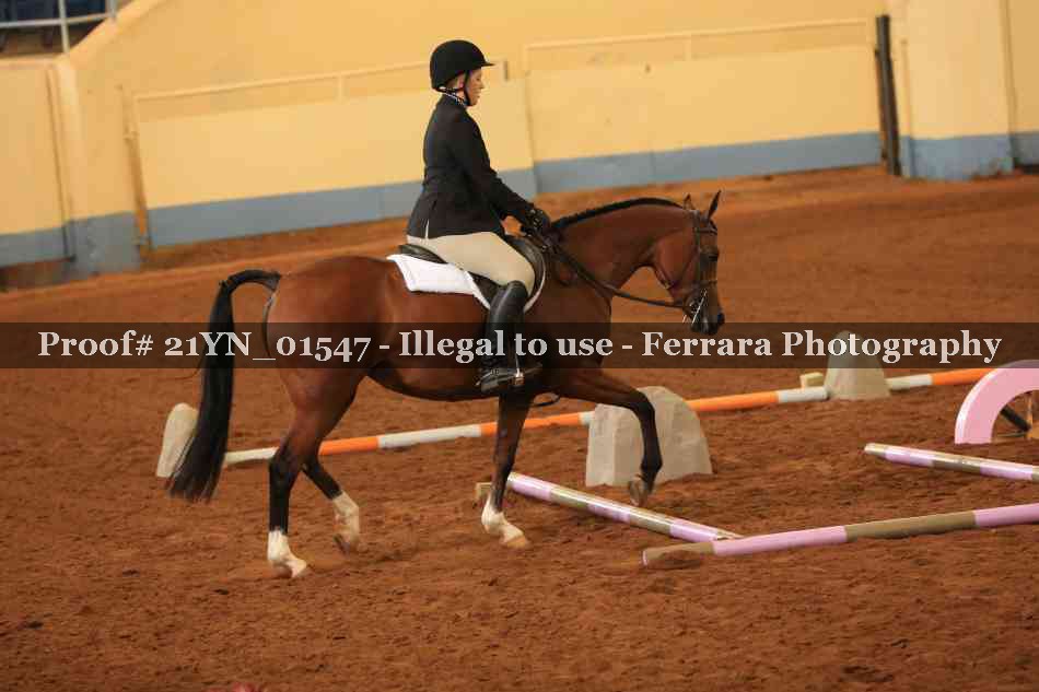 Proof 21YN_01547