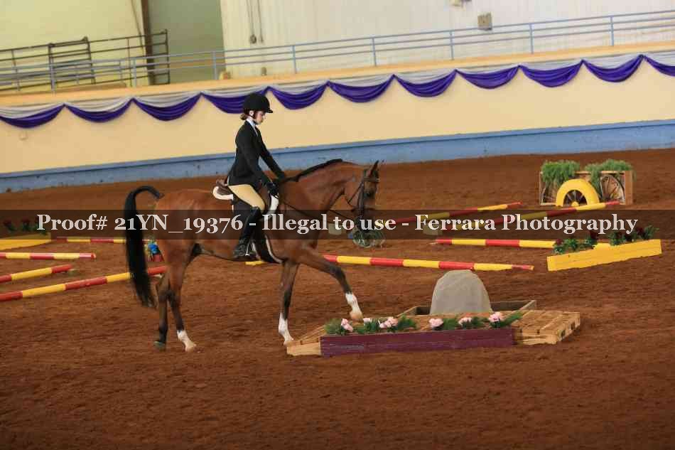 Proof 21YN_19376