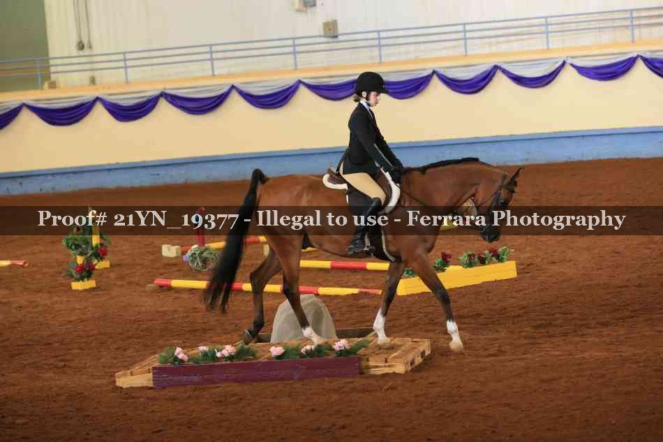 Proof 21YN_19377