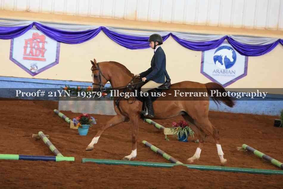 Proof 21YN_19379