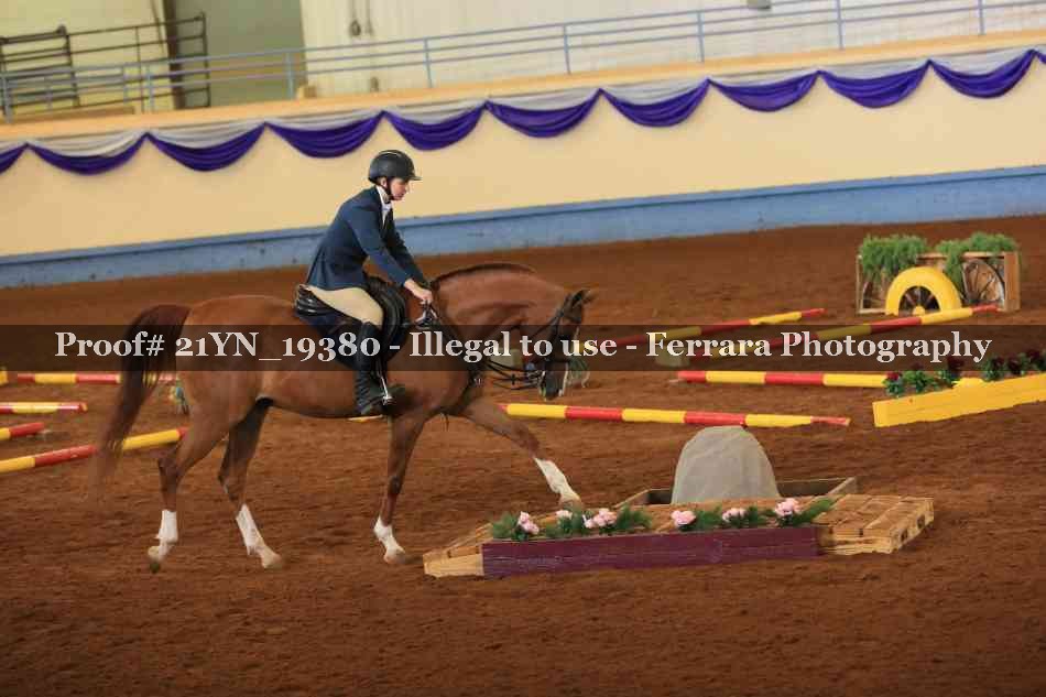 Proof 21YN_19380