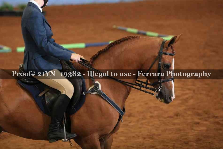 Proof 21YN_19382