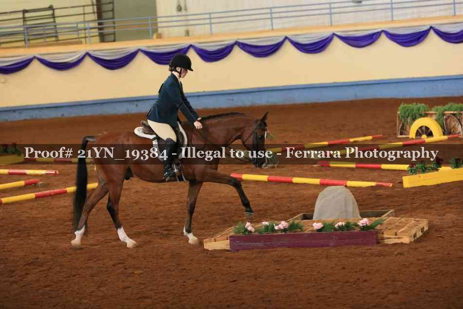 Proof 21YN_19384