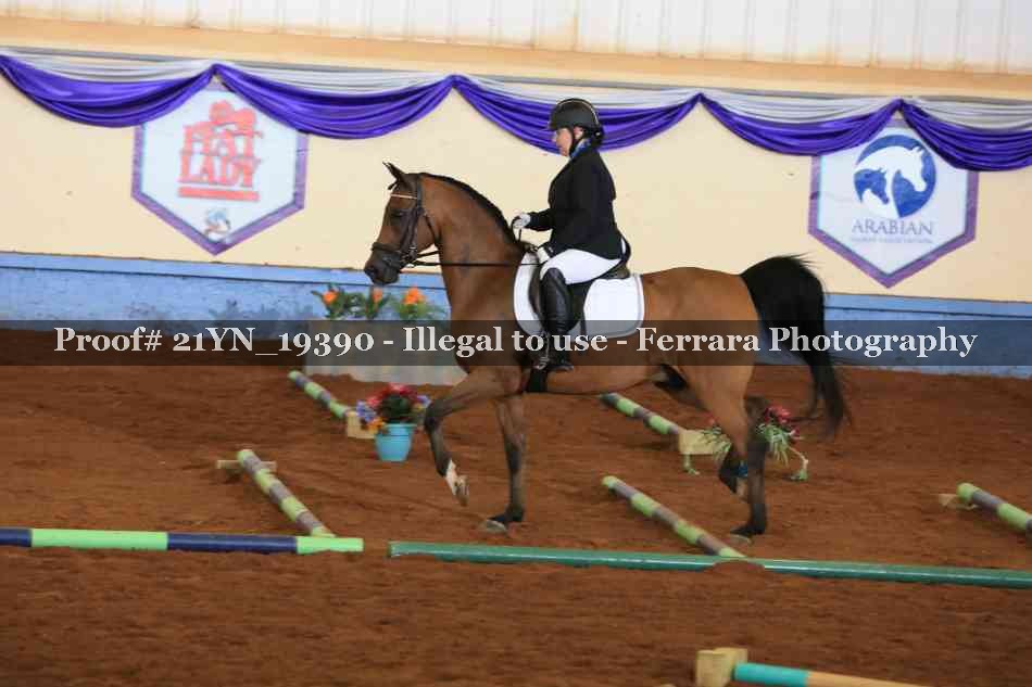 Proof 21YN_19390