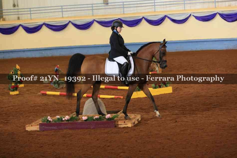 Proof 21YN_19392