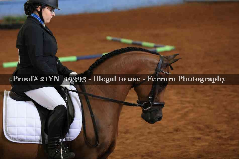 Proof 21YN_19393