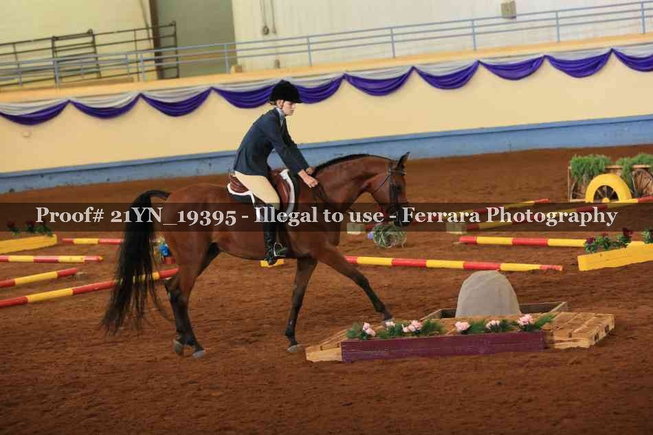 Proof 21YN_19395