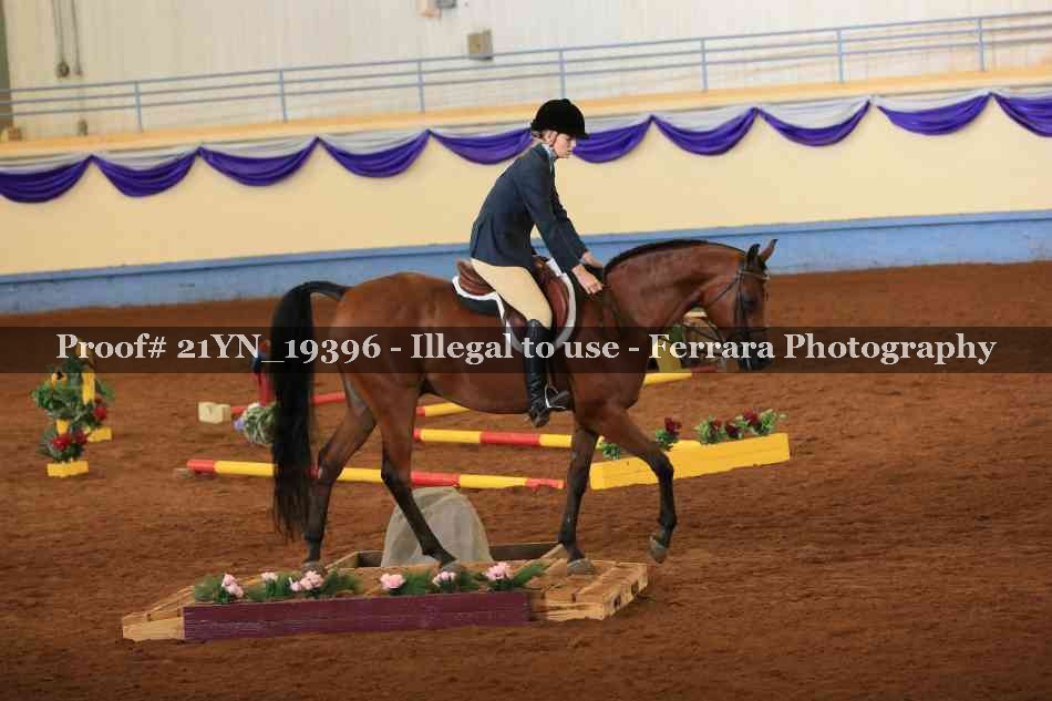 Proof 21YN_19396