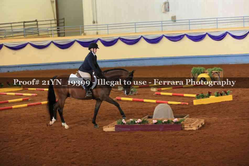 Proof 21YN_19399