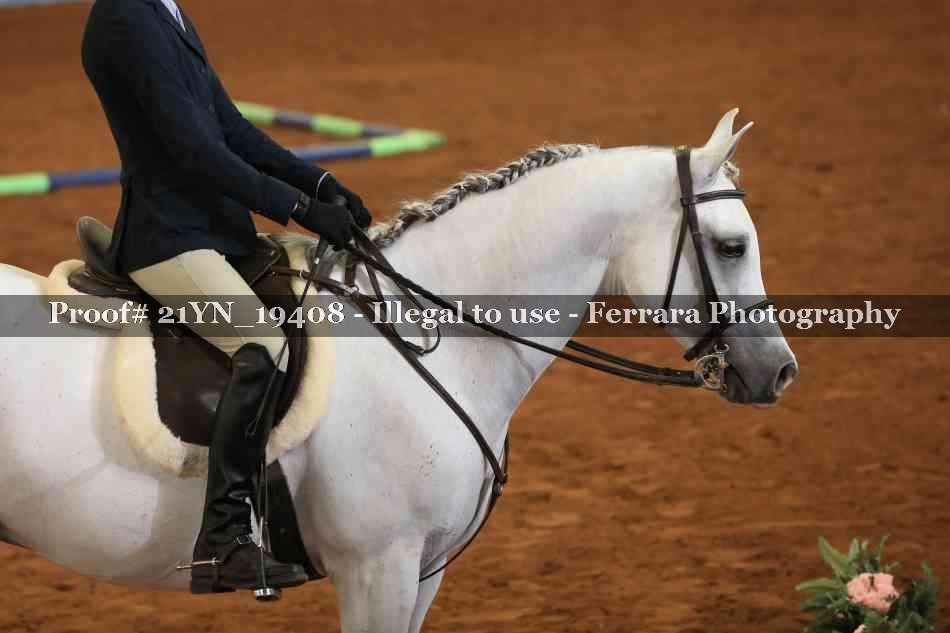 Proof 21YN_19408