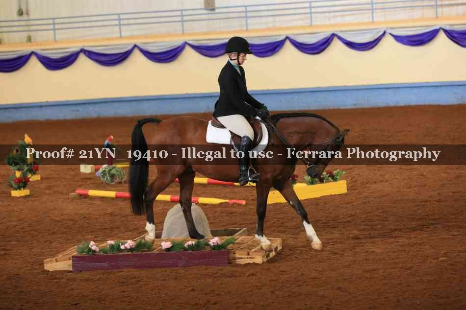 Proof 21YN_19410