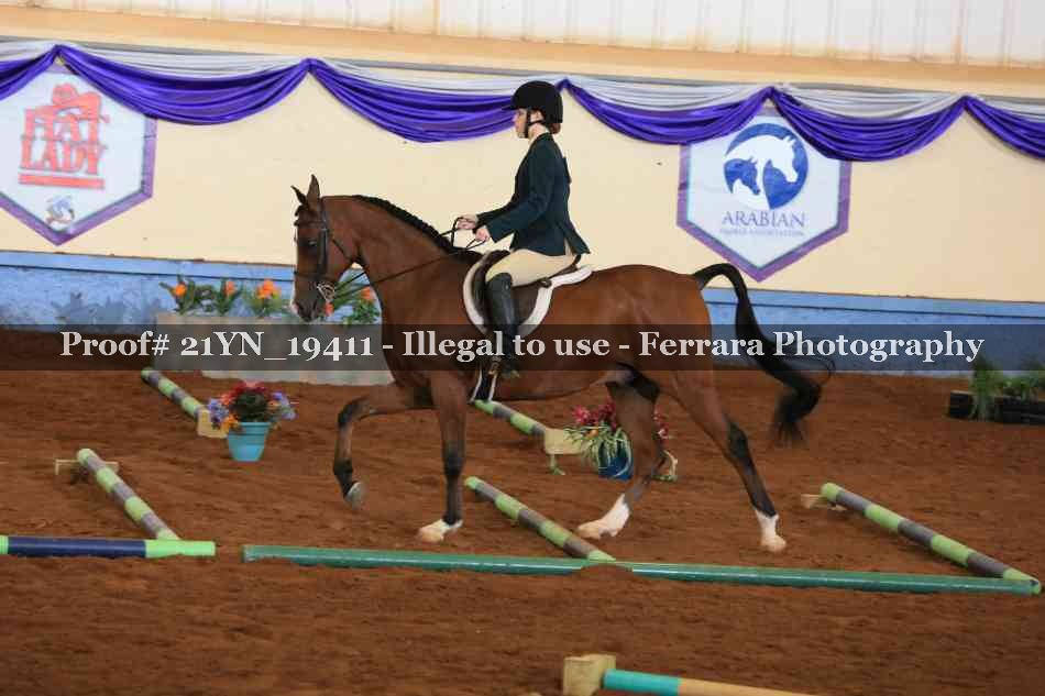 Proof 21YN_19411