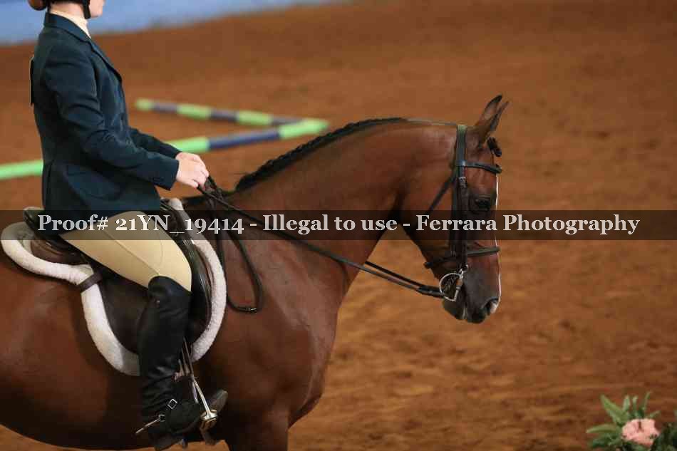 Proof 21YN_19414