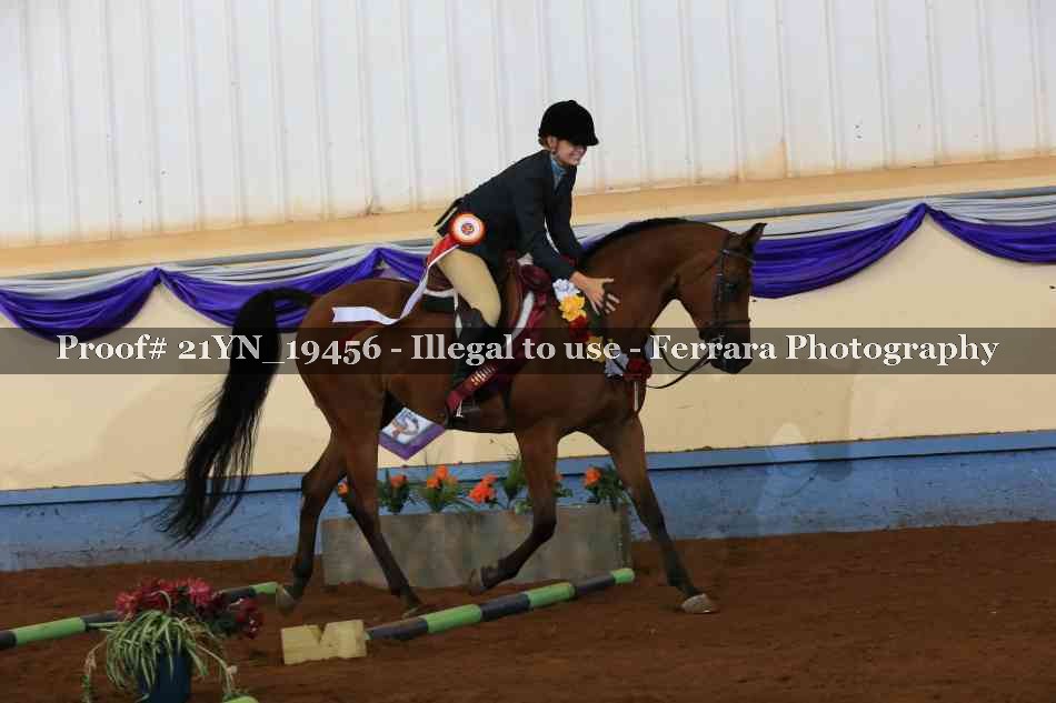 Proof 21YN_19456
